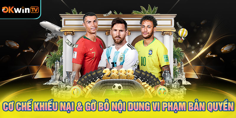 Cơ Chế Khiếu Nại & Gỡ Bỏ Nội Dung Vi Phạm Bản Quyền
