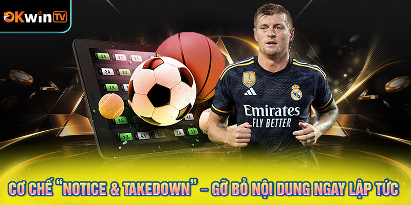 Cơ Chế “Notice & Takedown” – Gỡ Bỏ Nội Dung Ngay Lập Tức